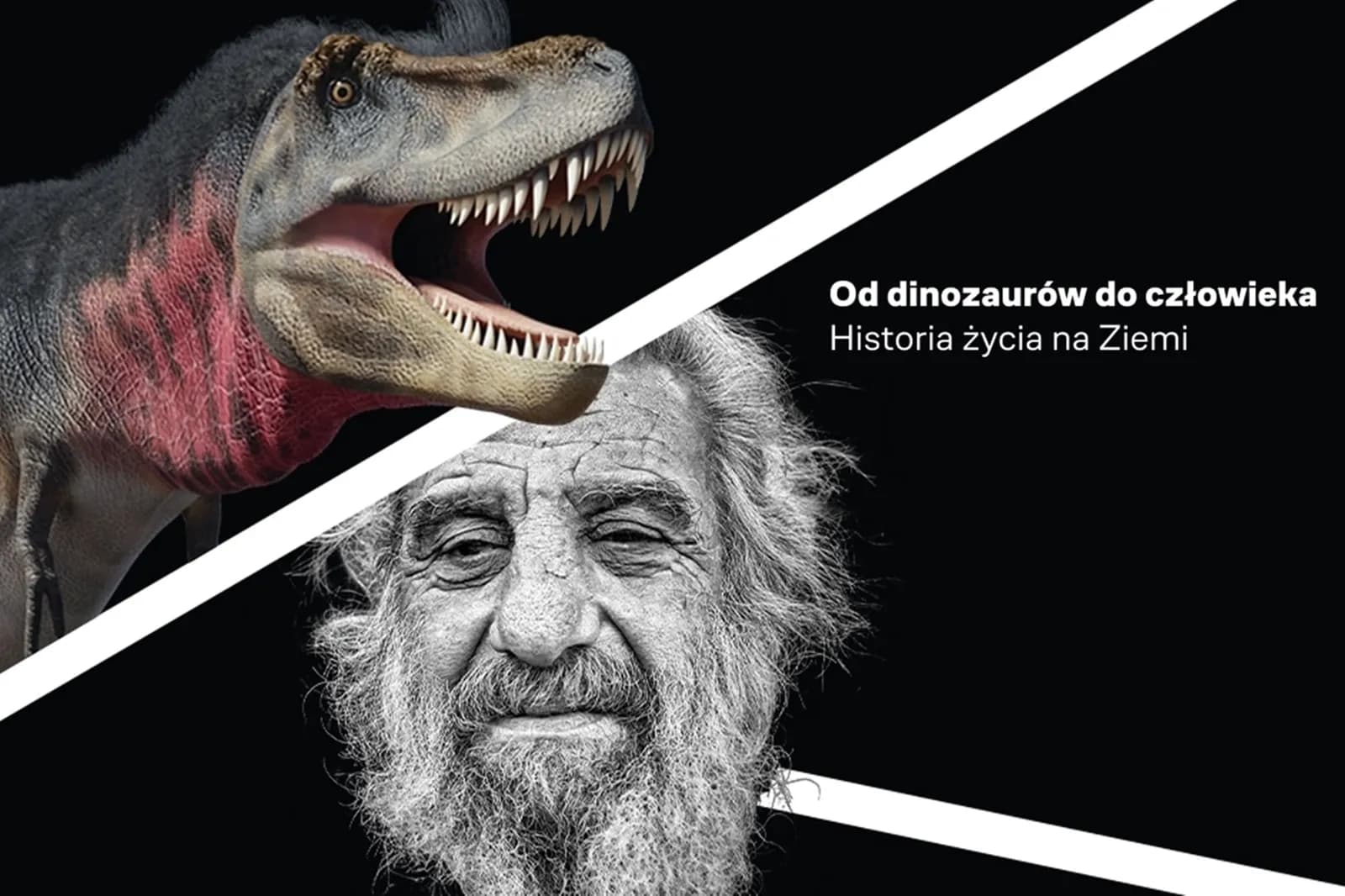 A dinosaur and an old man's face are separated by a diagonal white line, with Polish text on the right.